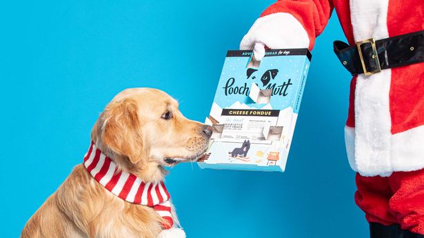 Pooch & Mutt dog advent calendar