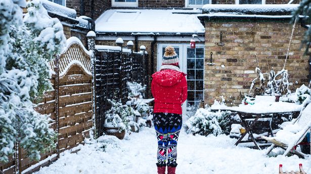 woman-standing-in-snow-covered-garden