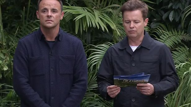 It was clear that I'm A Celebrity hosts Ant McPartlin and Dec Donnelly were once again not impressed