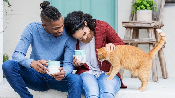 A young African-American couple hanging out together, drinking coffee on the front steps of their home, relaxing and petting a cat.